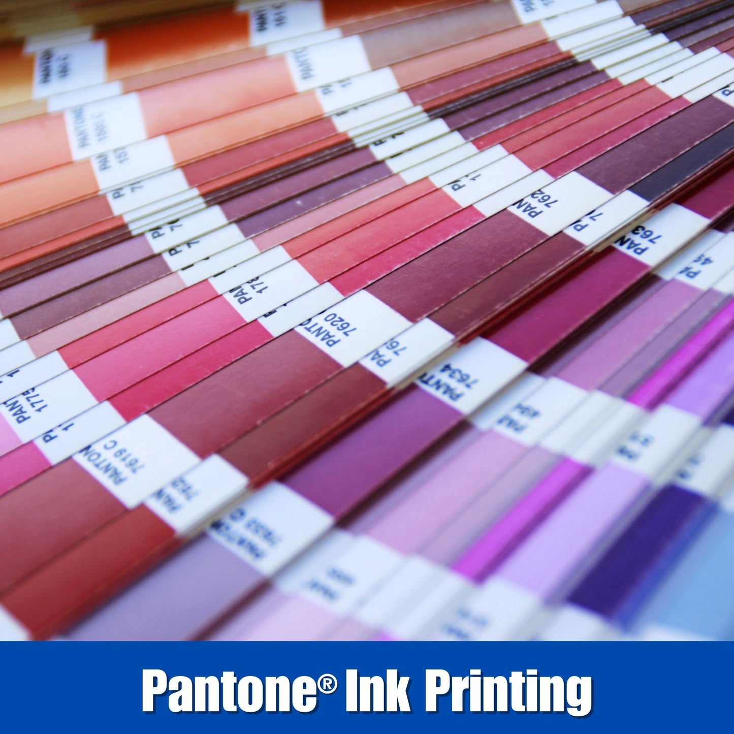 #10 Business Envelopes (Spot 2 Color)